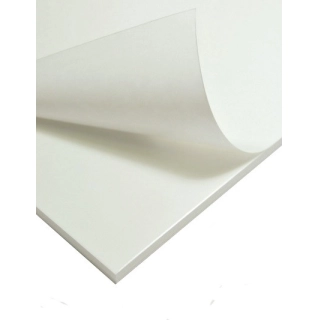 Pluma Basic Adhesivo 10mm Pluma Basic Adhesivo 10mm