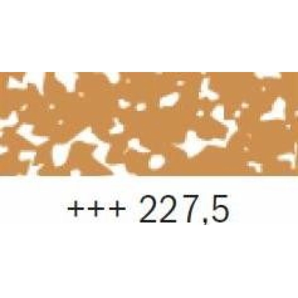 REMBRANDT-PASTEL OCRE AMARILLO 5