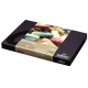 REMBRANDT 60 MEDIOS PASTELES