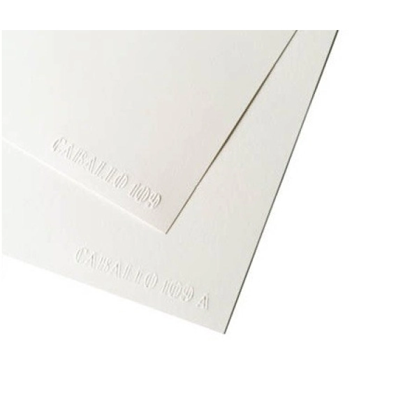 CABALLO 109 SATINAT 250gr.  70x50