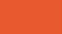 CERAMIC MONGAY-NARANJA LILY 50ml