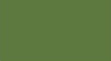 CERAMIC MONGAY-VERDE SMOKE 50ml