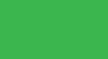 CERAMIC MONGAY-VERDE PALMETTO 50ml