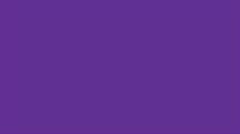 CERAMIC MONGAY-VIOLETA DAWN 50ml