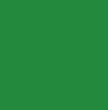 LACA MONGAY 50ml-VERDE
