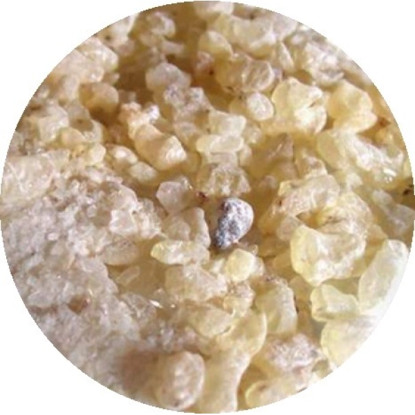 RESINA DAMMAR 1KG