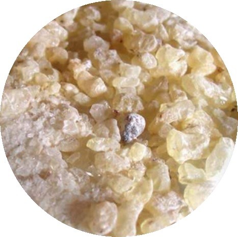 RESINA DAMMAR 1Kg.