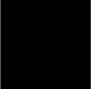 TINTA LINOLEO 250ML- NEGRO