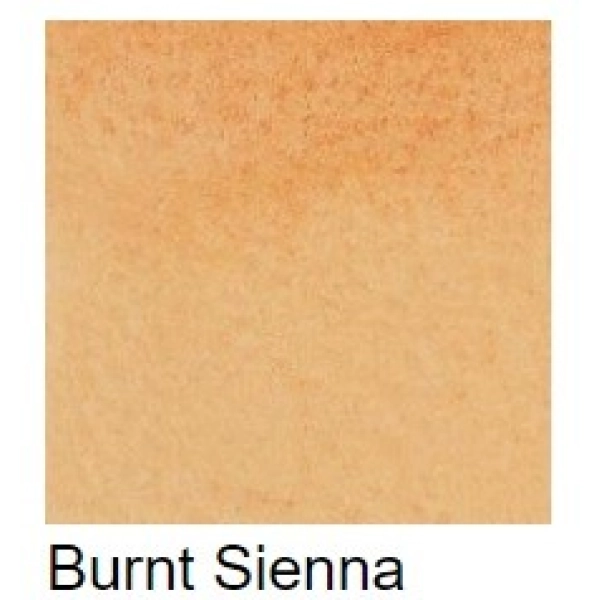 WATER MARKER W&N-TIERRA SIENA TOSTADA