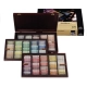 REMBRANDT CAJA 225 PASTELES