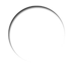 TEXTIL COLOR 60ml.-BLANCO OPACO
