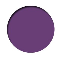 PREMIUM FLUO 60ml-VIOLETA