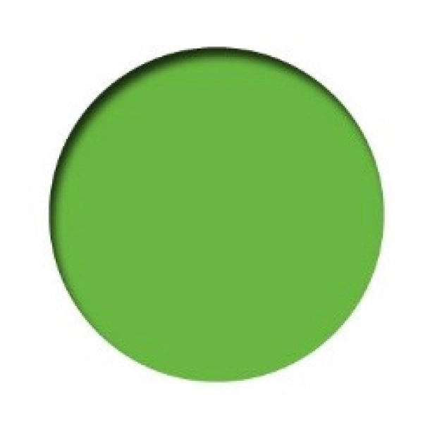 PREMIUM FLUO 60ml-VERDE