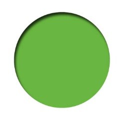 PREMIUM FLUO 60ml-VERDE