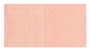 LA PAJARITA SATINADA 35ml-ROSA