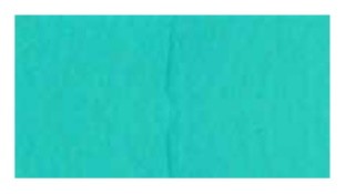 LA PAJARITA SATINADA 35ml-VERDE MANIGUA