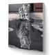 PINTAR POR NUMEROS-GATO REFLEJO