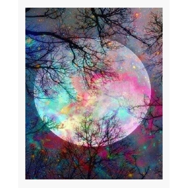 PINTAR POR NUMEROS-LUNA