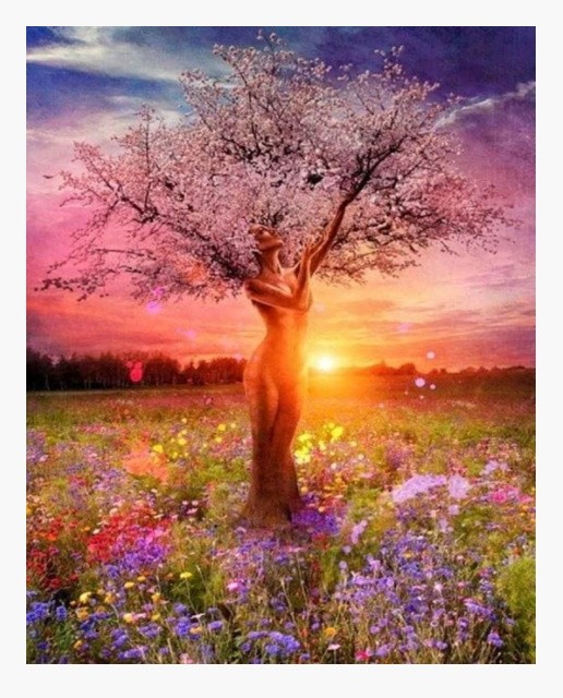 PINTAR POR NUMEROS-ARBOL