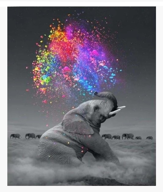 PINTAR POR NUMEROS-ELEFANTE