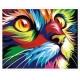 PINTAR POR NUMEROS-LINCE POP ART