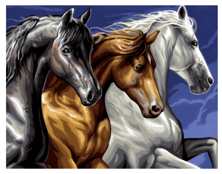 PINTAR POR NUMEROS-CABALLOS SALVAJES