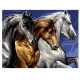PINTAR POR NUMEROS-CABALLOS SALVAJES