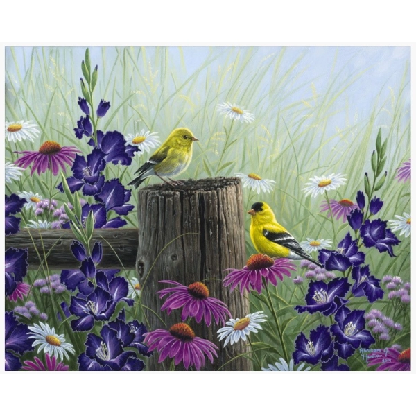 PINTAR POR NUMEROS-FLORES Y PAJAROS