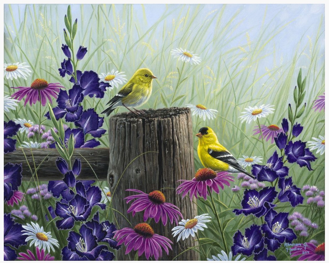 PINTAR POR NUMEROS-FLORES Y PAJAROS