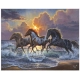 PINTAR POR NUMEROS-CABALLOS