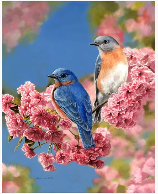 PINTAR POR NUMEROS-PAJAROS