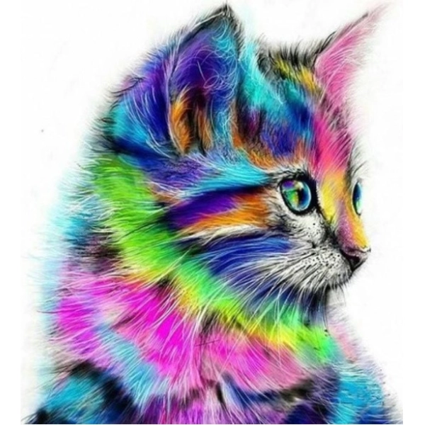 PINTAR POR NUMEROS-GATO DE COLORES