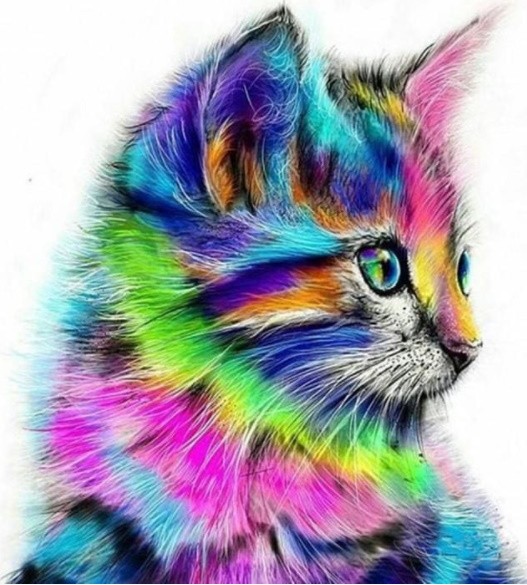 PINTAR POR NUMEROS-GATO DE COLORES