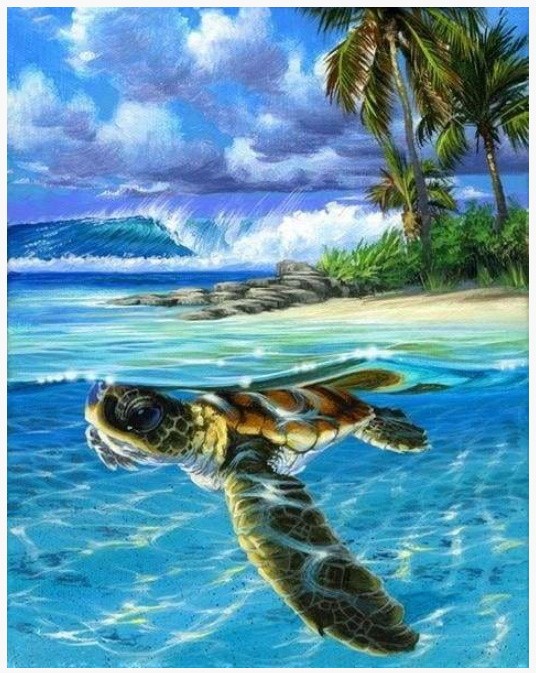 PINTAR POR NUMEROS-TORTUGA