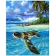 PINTAR POR NUMEROS-TORTUGA