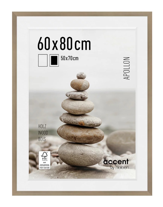 MARCO PLATA APOLLON 60x80 (50x70)