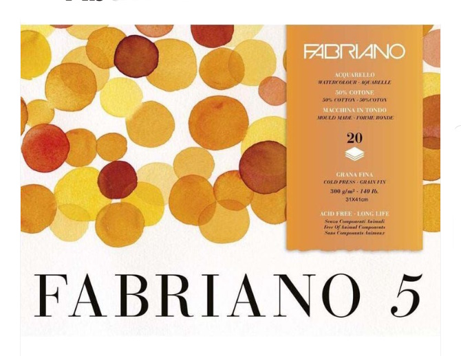 BLOC FABRIANO 5 300gr. 41x31 20 HOJAS